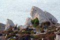 0069Pointe de Dinan